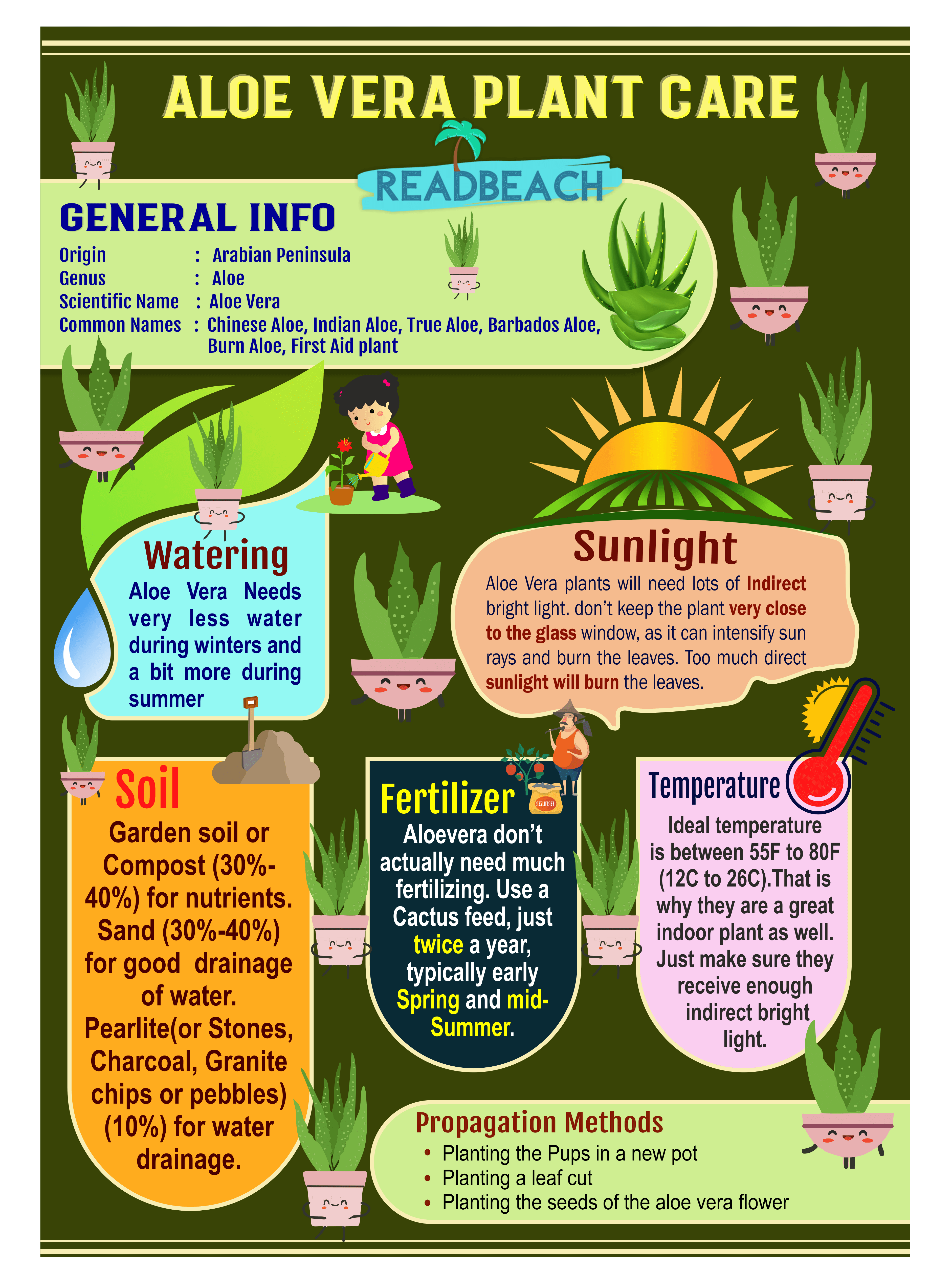 Aloe Vera Plant Care Infographic
