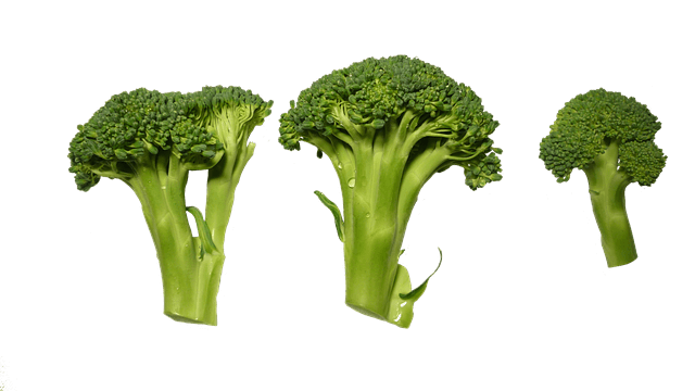 Broccoli heads in white background