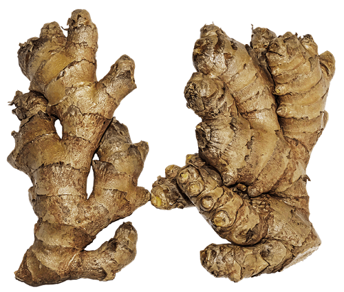 high definition ginger with white background
