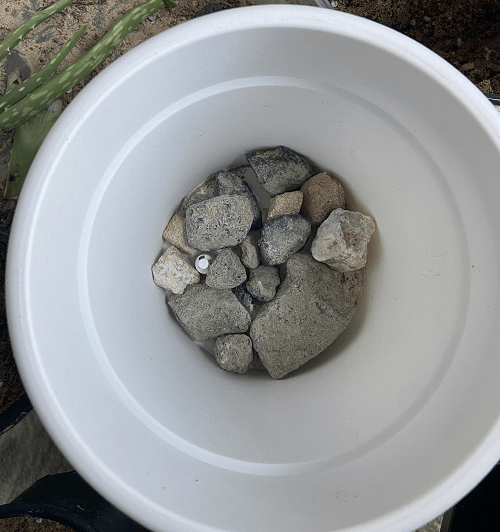 Layer of Stones in a white pot for better drainage of water from the soil