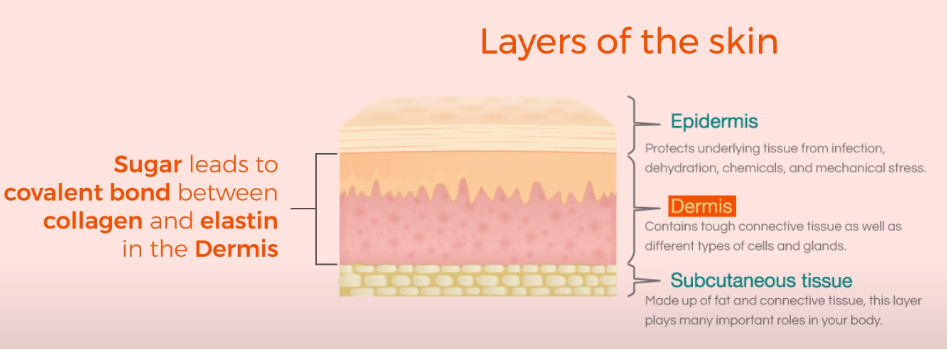 Layers of Skin and the Impact of Sugar on skin