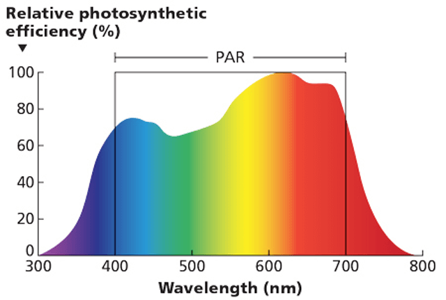PAR range of light spectrum that plants use for photosynthesis.