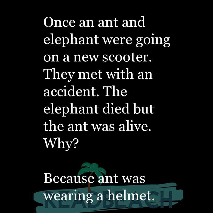 Ant and Elephant Jokes - ReadBeach Quotes