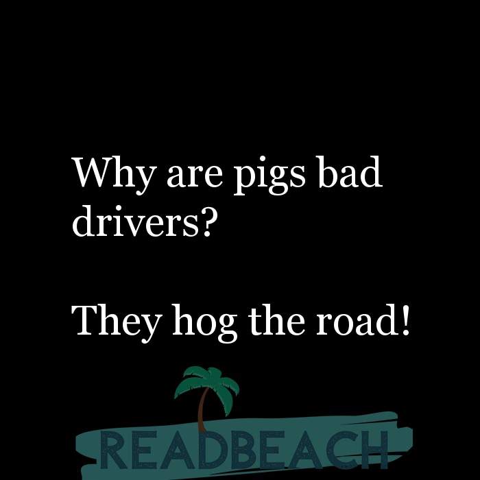 Pig Puns 🐽 Pig Jokes - ReadBeach Quotes