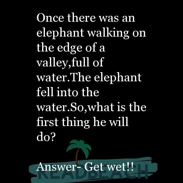 Q: What's the difference between an elephant and a piece of ... -  