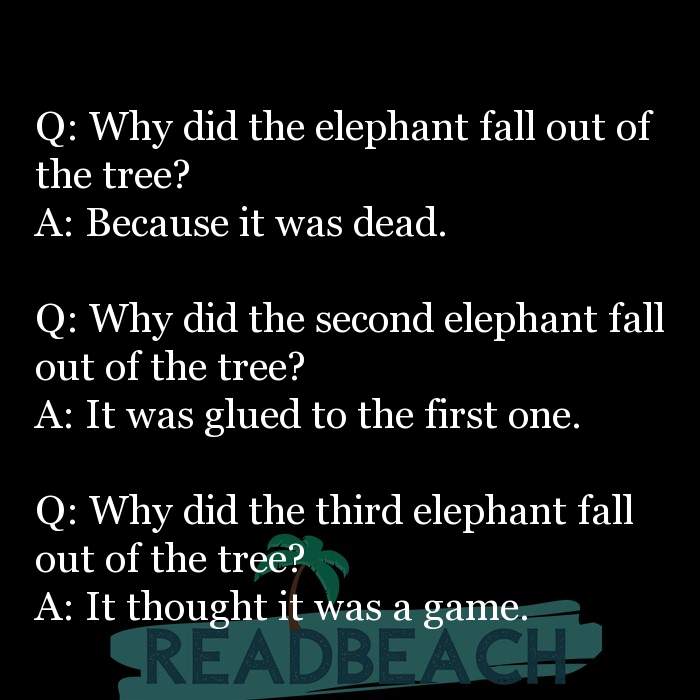 And stupid answer jokes question Funny Stupid