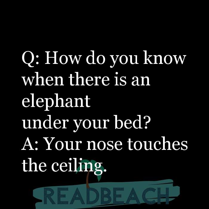 62 Lamest Questions and Answers Quotes with Images 📸🖼️ - ReadBeach Quotes